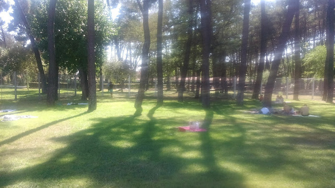 Residencia Mimara El Romeral